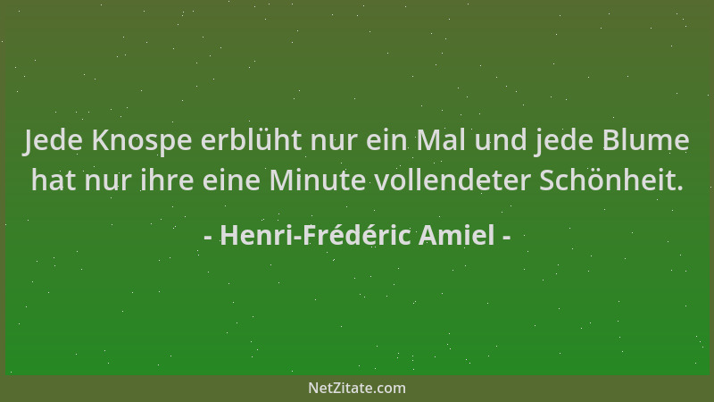 Henri-Frédéric Amiel - Jede Knospe erblüht nur ein Mal und jede Blume hat nur ihre eine Minute vollendeter Schönheit....