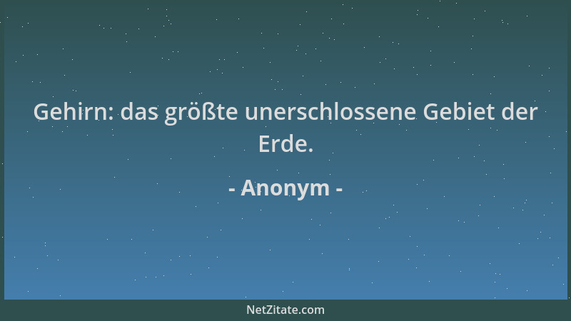 Anonym - Gehirn: das größte unerschlossene Gebiet der Erde....