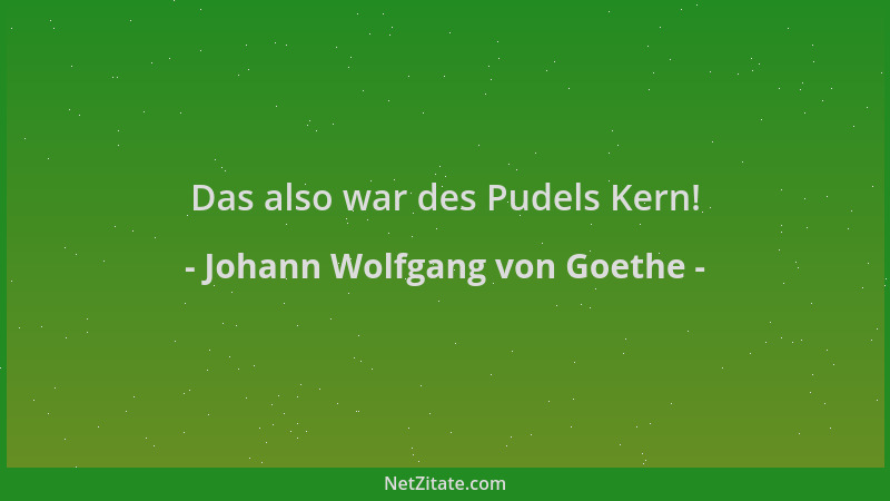 Johann Wolfgang von Goethe - Das also war des Pudels Kern!...