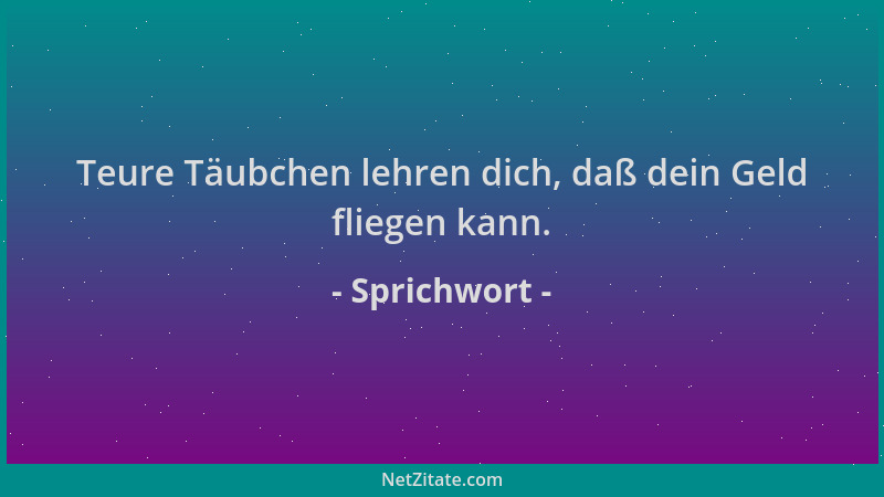 Sprichwort - Teure Täubchen lehren dich, daß dein Geld fliegen kann....