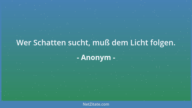 Anonym - Wer Schatten sucht, muß dem Licht folgen....