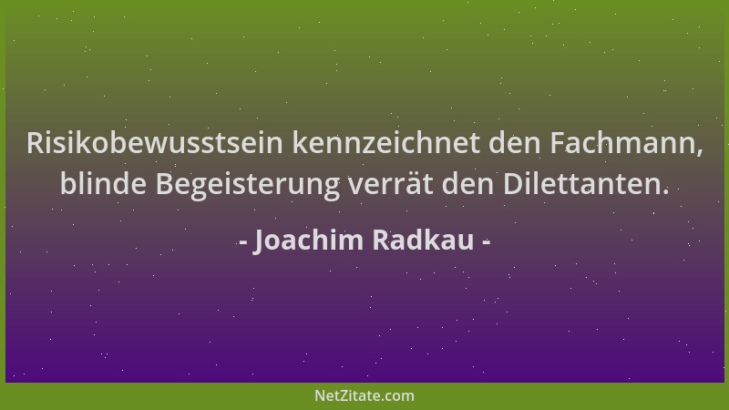Joachim Radkau - Risikobewusstsein kennzeichnet den Fachmann, blinde Begeisterung verrät den Dilettanten....