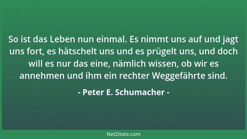 Peter E. Schumacher - So ist das Leben nun einmal. Es nimmt uns auf und jagt uns fort, es hätschelt uns und es prügelt uns,...