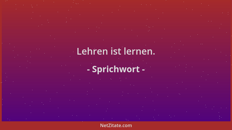 Sprichwort - Lehren ist lernen....