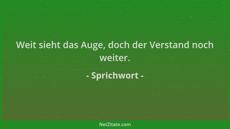 Sprichwort - Weit sieht das Auge, doch der Verstand noch weiter....