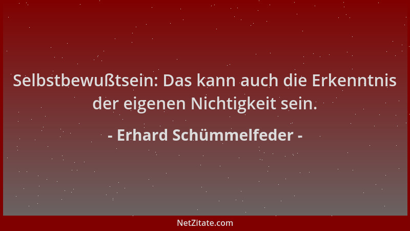 Erhard Schümmelfeder - Selbstbewußtsein: Das kann auch die Erkenntnis der eigenen Nichtigkeit sein....