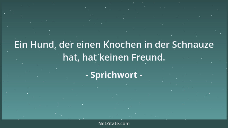 Sprichwort - Wenn du einem Affen beibringst, mit Steinen zu werfen, dann wundere dich nicht, wenn er dir eines Tages den Sc...