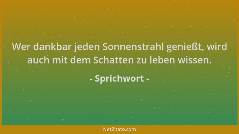 Sprichwort - Wer dankbar jeden Sonnenstrahl genießt, wird auch mit dem Schatten zu leben wissen....