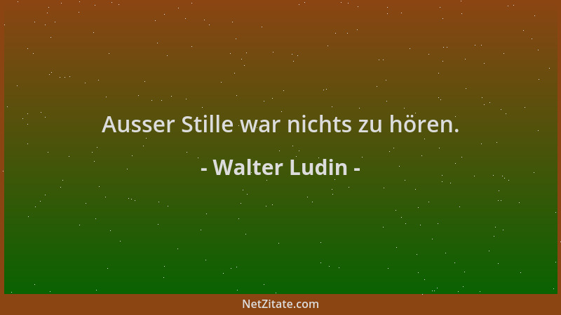 Walter Ludin - Ausser Stille war nichts zu hören....