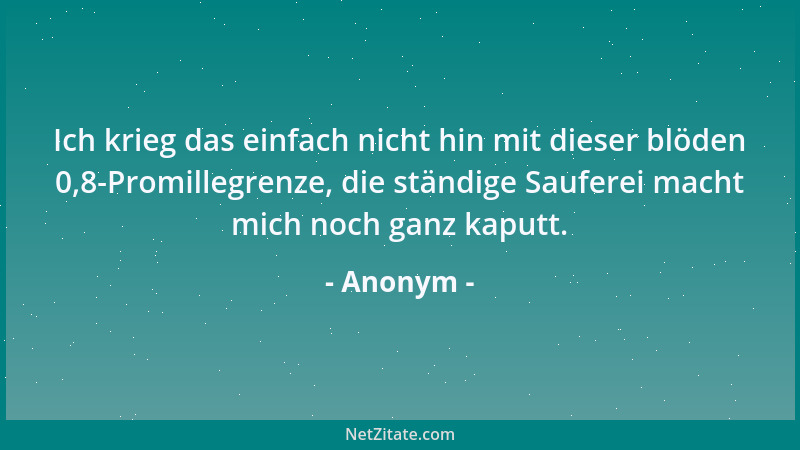 Anonym - Ich krieg das einfach nicht hin mit dieser blöden 0,8-Promillegrenze, die ständige Sauferei macht mich noch ganz k...