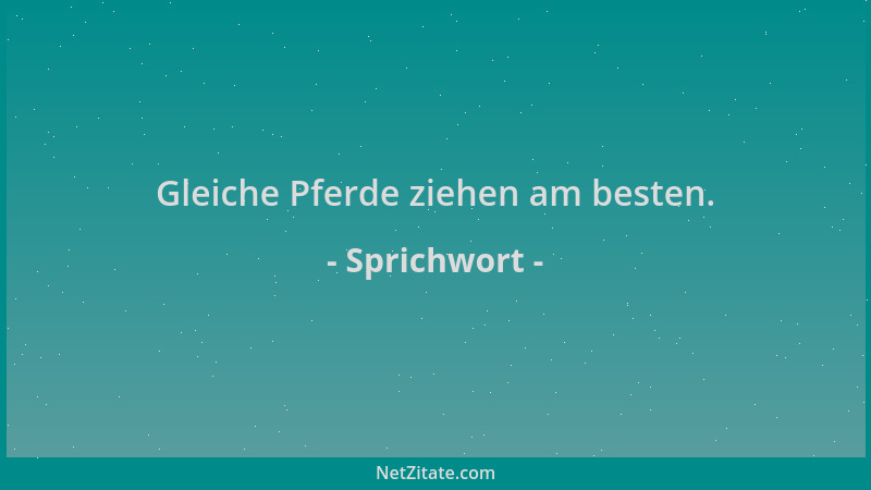 Sprichwort - Gleiche Pferde ziehen am besten....
