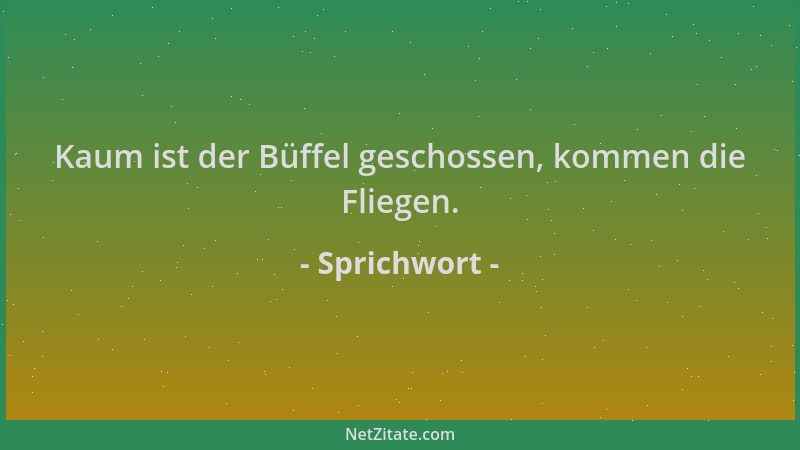 Sprichwort - Kaum ist der Büffel geschossen, kommen die Fliegen....