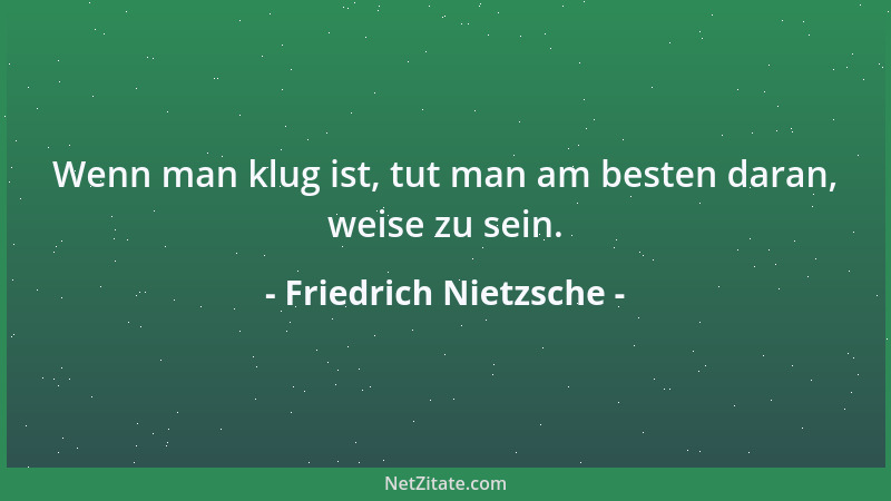 Friedrich Nietzsche - Euer Geschäft ist euer größtes Vorurteil....