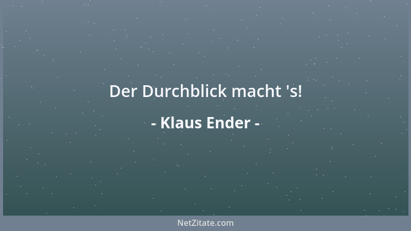 Klaus Ender - Der Durchblick macht  's!...