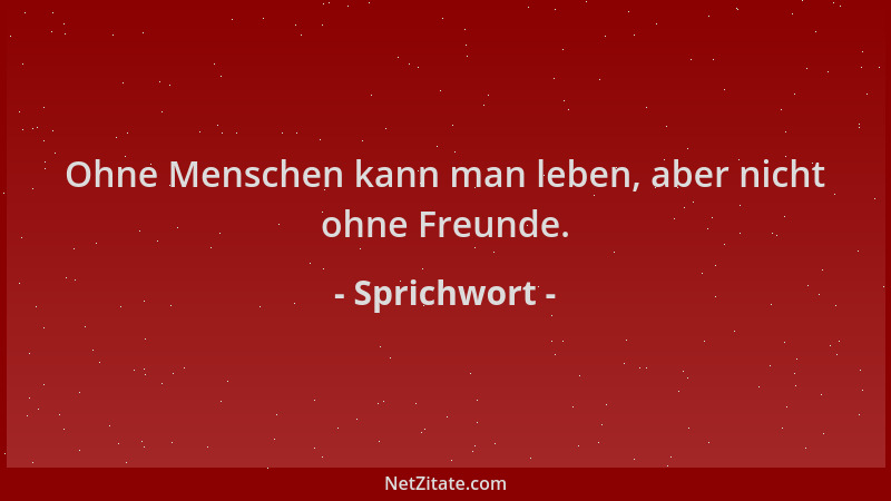 Sprichwort - Ohne Menschen kann man leben, aber nicht ohne Freunde....