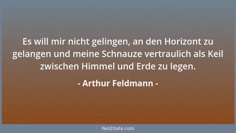 Arthur Feldmann - Es will mir nicht gelingen, an den Horizont zu gelangen und meine Schnauze vertraulich als Keil zwischen...