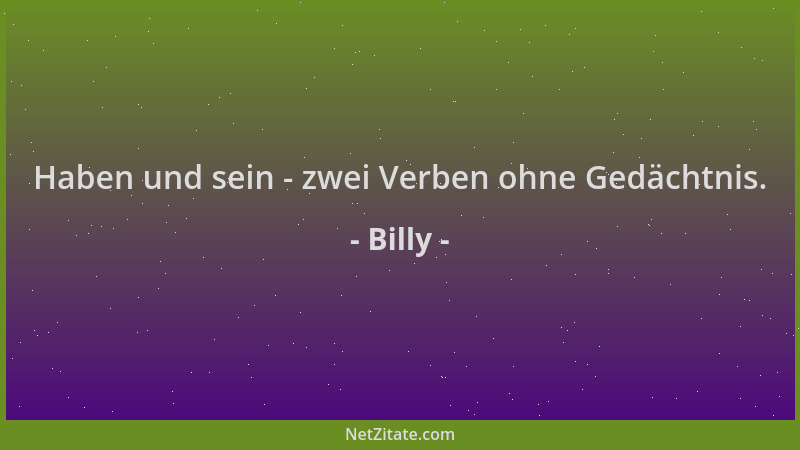 Billy - Haben und sein - zwei Verben ohne Gedächtnis....