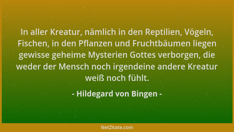 Hildegard von Bingen - In aller Kreatur, nämlich in den Reptilien, Vögeln, Fischen, in den Pflanzen und Fruchtbäumen liegen...