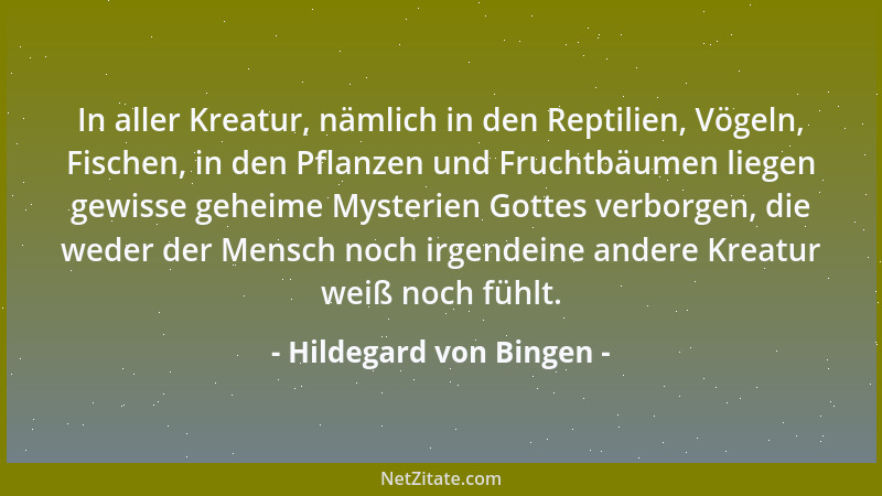 Hildegard von Bingen - In aller Kreatur, nämlich in den Reptilien, Vögeln, Fischen, in den Pflanzen und Fruchtbäumen liegen...