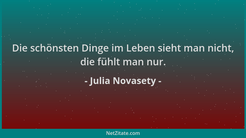 Julia Novasety - Die schönsten Dinge im Leben sieht man nicht, die fühlt man nur....