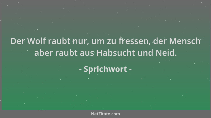 Sprichwort - Der Wolf raubt nur, um zu fressen, der Mensch aber raubt aus Habsucht und Neid....