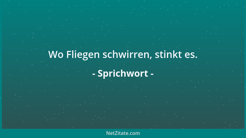 Sprichwort - Wo Fliegen schwirren, stinkt es....