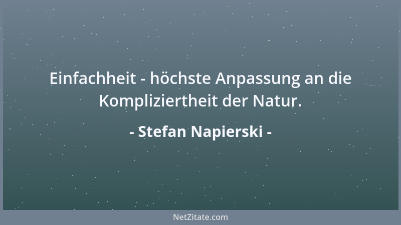 Stefan Napierski - Einfachheit - höchste Anpassung an die Kompliziertheit der Natur....