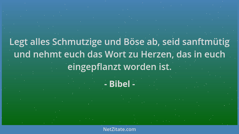 Bibel - Legt alles Schmutzige und Böse ab, seid sanftmütig und nehmt euch das Wort zu Herzen, das in euch eingepflanzt word...