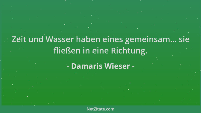 Damaris Wieser - Zeit und Wasser haben eines gemeinsam... sie fließen in eine Richtung....
