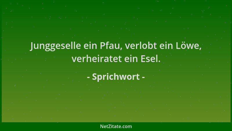 Sprichwort - Junggeselle ein Pfau, verlobt ein Löwe, verheiratet ein Esel....