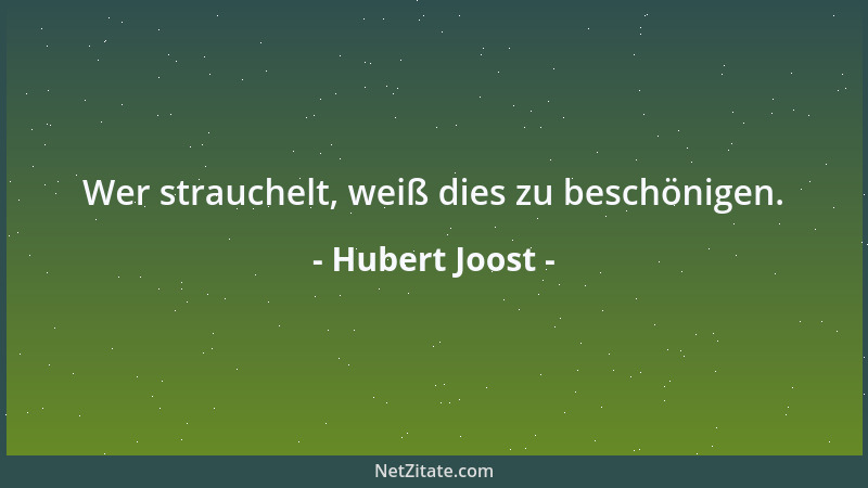 Hubert Joost - Wer strauchelt, weiß dies zu beschönigen....