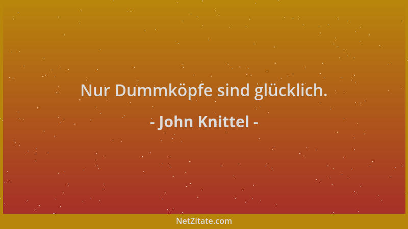 John Knittel - Nur Dummköpfe sind glücklich....