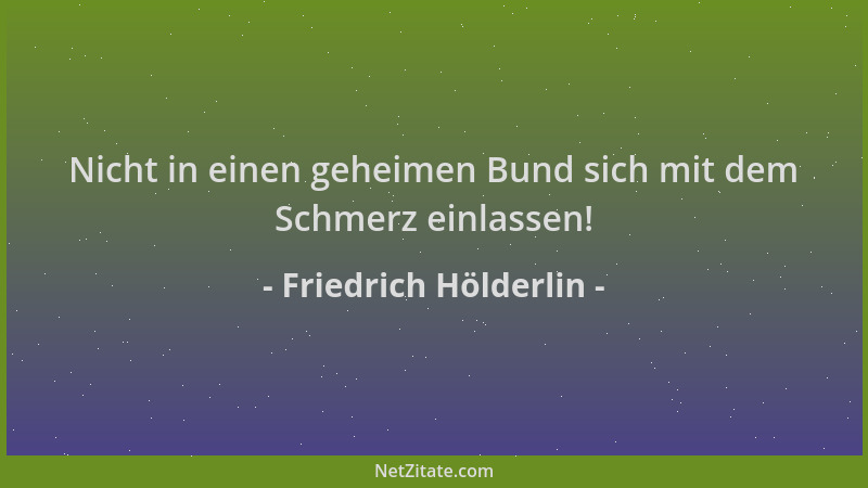 Friedrich Hölderlin - Nicht in einen geheimen Bund sich mit dem Schmerz einlassen!...