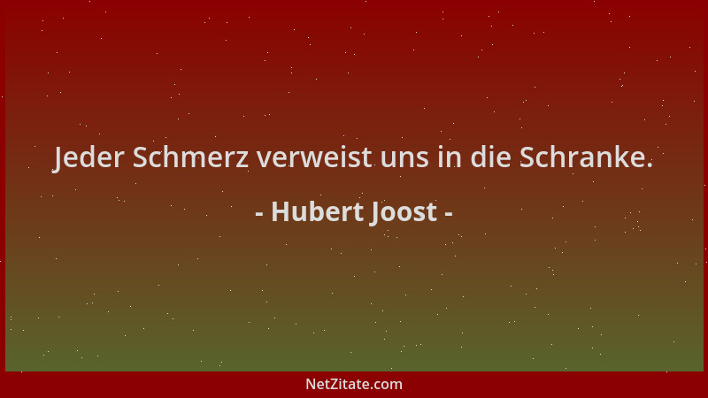 Hubert Joost - Jeder Schmerz verweist uns in die Schranke....