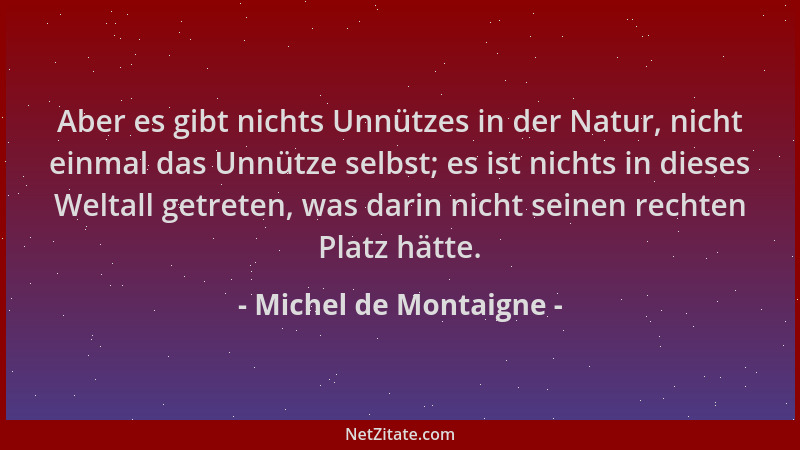 Michel de Montaigne - Aber es gibt nichts Unnützes in der Natur, nicht einmal das Unnütze selbst; es ist nichts in dieses W...
