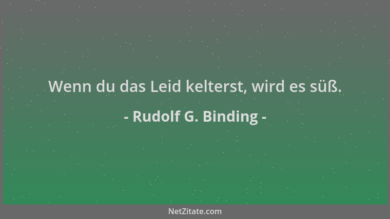 Rudolf G. Binding - Wenn du das Leid kelterst, wird es süß....