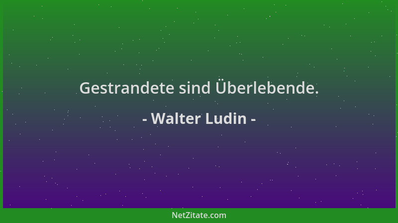 Walter Ludin - Gestrandete sind Überlebende....