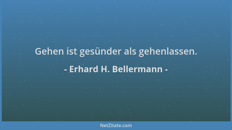 Erhard H. Bellermann - Gehen ist gesünder als gehenlassen....