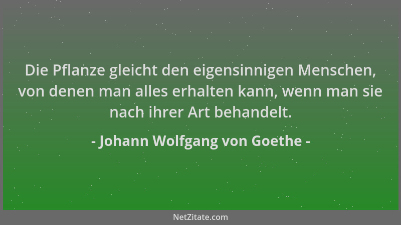Johann Wolfgang von Goethe - Die Pflanze gleicht den eigensinnigen Menschen, von denen man alles erhalten kann, wenn man si...