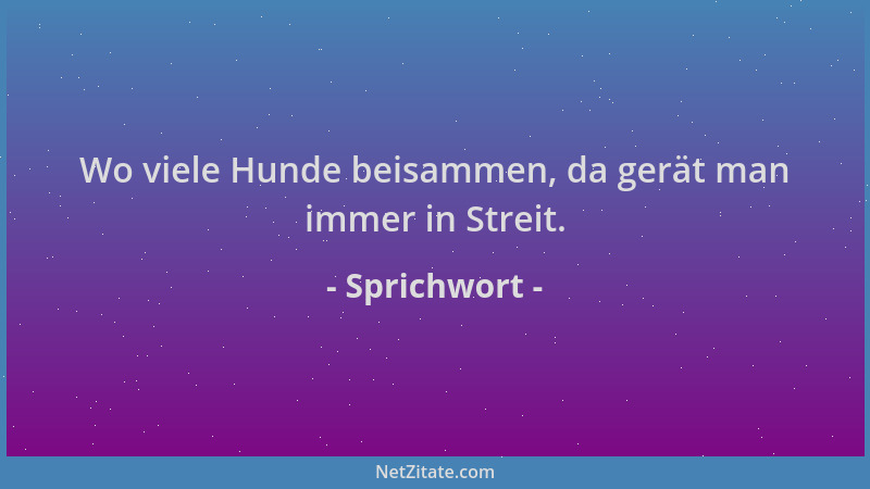 Sprichwort - Wo viele Hunde beisammen, da gerät man immer in Streit....