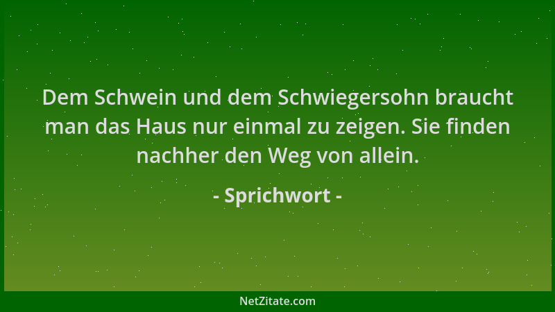 Sprichwort - Dem Schwein und dem Schwiegersohn braucht man das Haus nur einmal zu zeigen. Sie finden nachher den Weg von al...