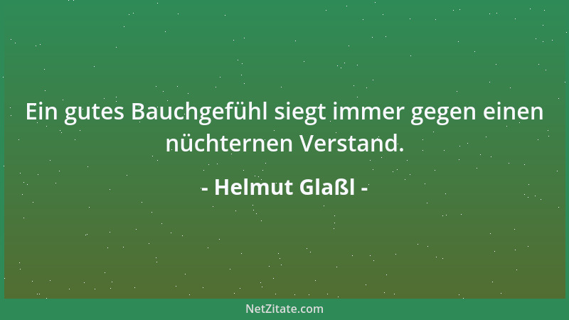 Helmut Glaßl - Ein gutes Bauchgefühl siegt immer gegen einen nüchternen Verstand....