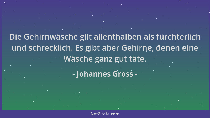 Johannes Gross - Die Gehirnwäsche gilt allenthalben als fürchterlich und schrecklich. Es gibt aber Gehirne, denen eine Wäsc...