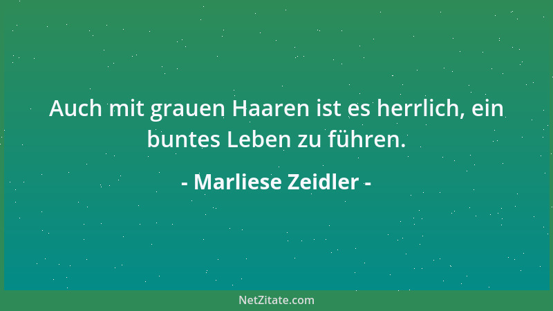 Marliese Zeidler - Auch mit grauen Haaren ist es herrlich, ein buntes Leben zu führen....