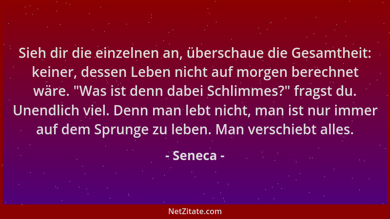 Seneca - Sieh dir die einzelnen an, überschaue die Gesamtheit: keiner, dessen Leben nicht auf morgen berechnet wäre. "Was i...