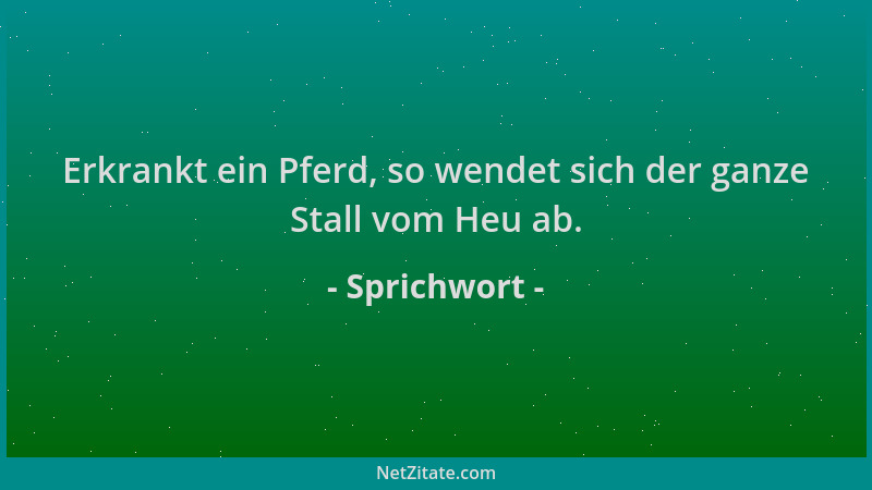 Sprichwort - Erkrankt ein Pferd, so wendet sich der ganze Stall vom Heu ab....
