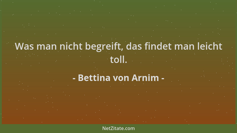 Bettina von Arnim - Was man nicht begreift, das findet man leicht toll....