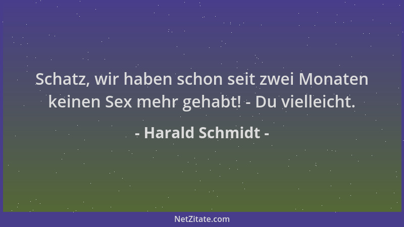 Harald Schmidt - Schatz, wir haben schon seit zwei Monaten keinen Sex mehr gehabt! - Du vielleicht....