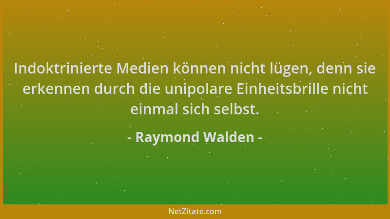 Raymond Walden - Indoktrinierte Medien können nicht lügen, denn sie erkennen durch die unipolare Einheitsbrille nicht einma...