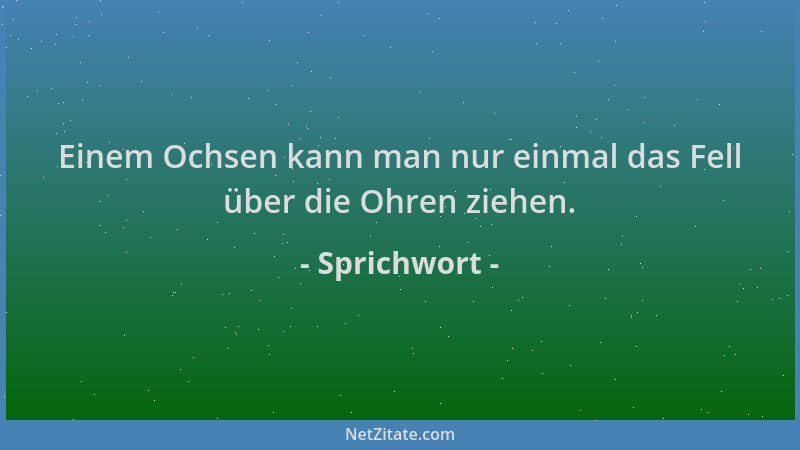 Sprichwort - Einem Ochsen kann man nur einmal das Fell über die Ohren ziehen....